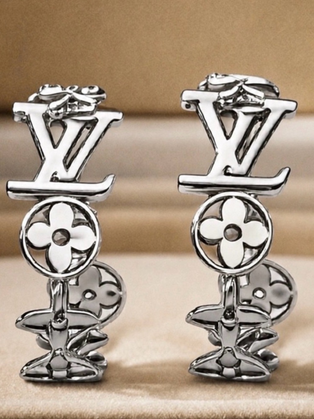 Luxury Fashion Hoop Earrings